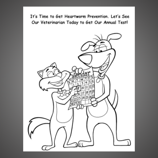 Heartworm Health Exam