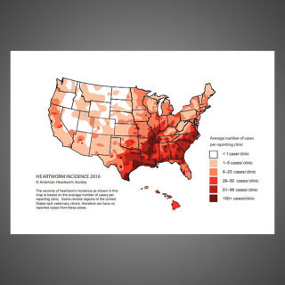 Incidence Map 2016