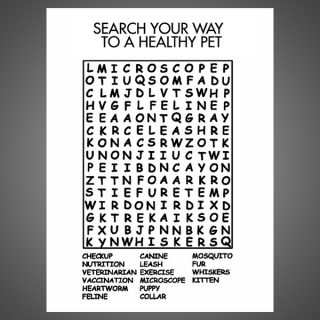Word Search 
